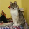 Отзыв от Алеся Мартынова
